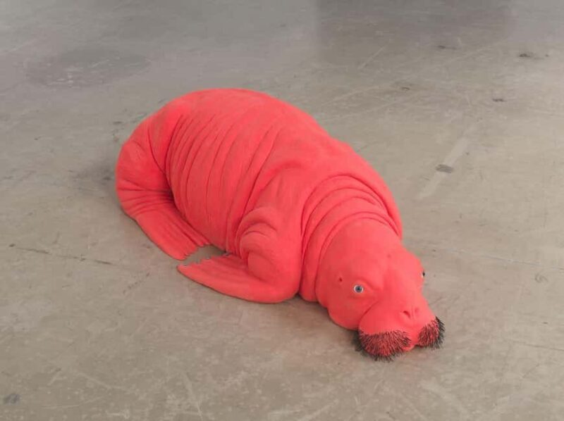 Genoa Palazzo Ducale: Entrance ticket for the Moby Dick - The Whale exhibition. - Who Should Visit?