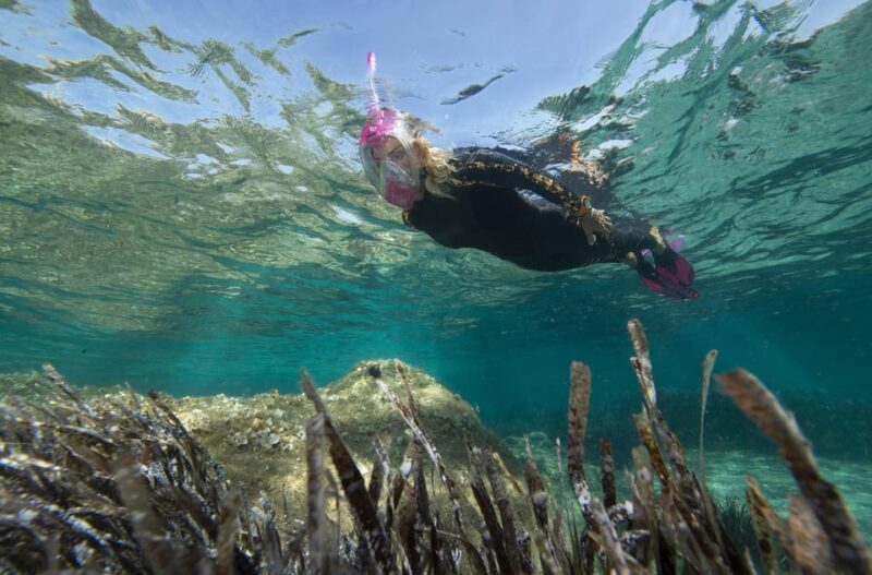 Genoa: snorkeling a stone's throw from downtown - What Do Reviewers Say?