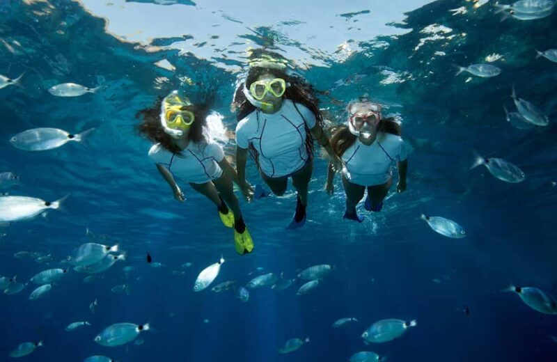 Genoa: Snorkeling tour along the Genoa coastline - Who Should Consider This Tour?