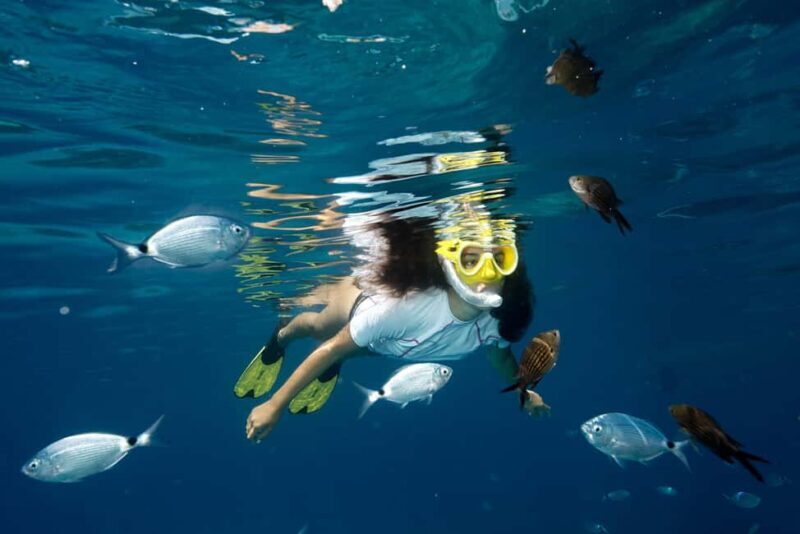 Genoa: Snorkeling tour along the Genoa coastline - Final Thoughts