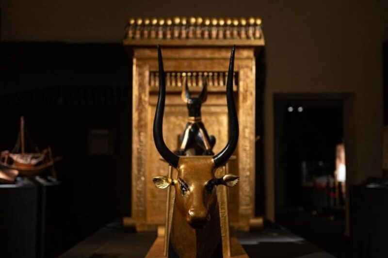 Genoa: Tutankhamon Exhibition - Who Will Enjoy This Experience?