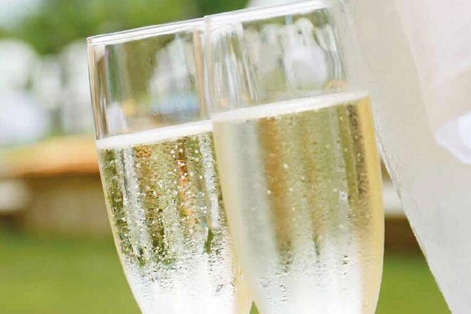 Genoa Walking Tour: Discover Hidden Treasures and Street Food - Transportation and Logistics