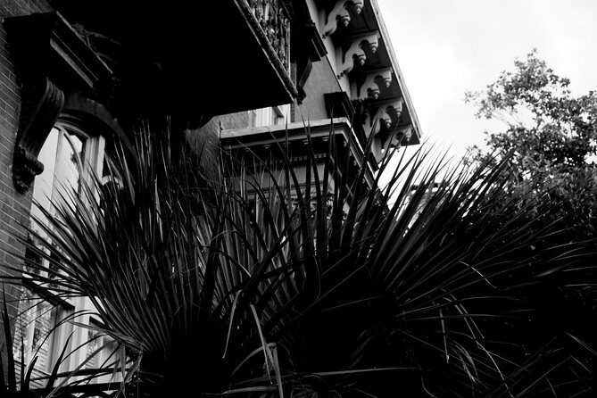 Genteel and Bard's Savannah Dark History and Ghost Encounter Walking Tour - How the Reviews Reflect the Experience