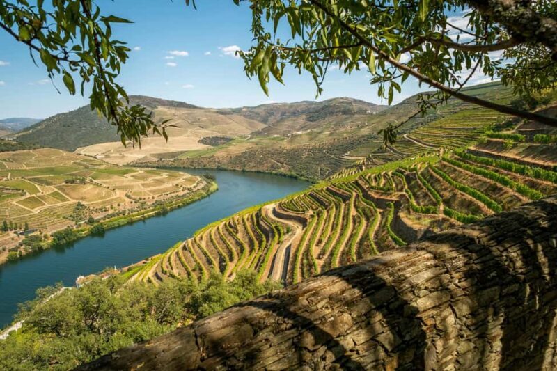 Genuine Douro Valley Tour: 2 Wineries, Lunch & River Cruise - Key Points