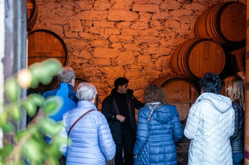 Genuine Douro Valley Tour: 2 Wineries, Lunch & River Cruise - Who Is This Tour Best Suited For?