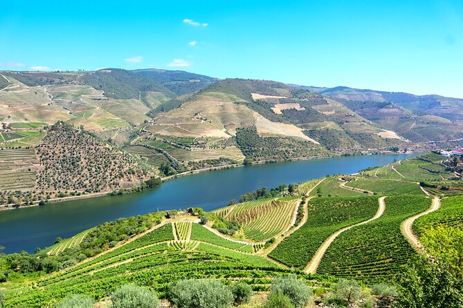 Genuine Douro Valley Tour: Visit 2 Wineries, Lunch & River Cruise - A full Douro day from Porto: 8:00 AM to around 6:00 PM