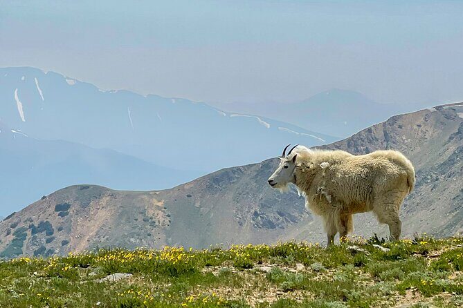 Georgetown via Guanella Pass Private Colorado Adventure Tour - What We Like and What to Watch For