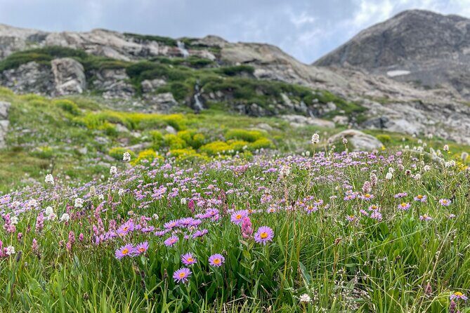 Georgetown via Guanella Pass Private Colorado Adventure Tour - FAQ