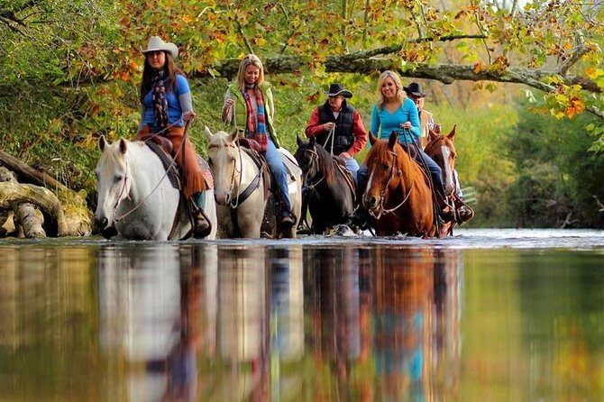 Georgia Horseback Ride with Wine Tasting - The Itinerary Breakdown