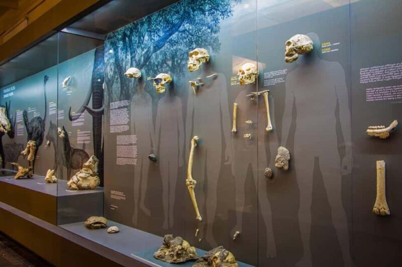 Georgian National Museum Entry Ticket - Price and Value