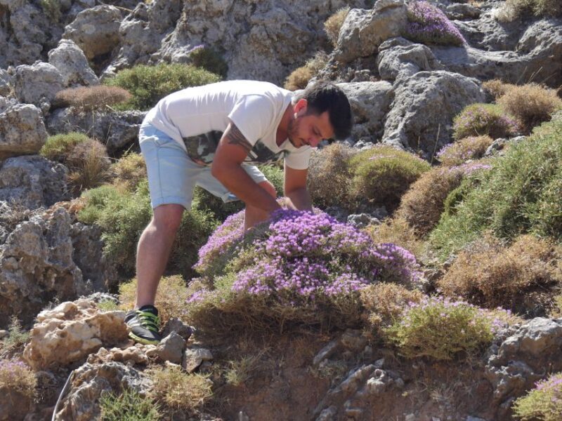 Georgioupolis Full-Day Land Rover Safari Experience - What to Expect from the Tour