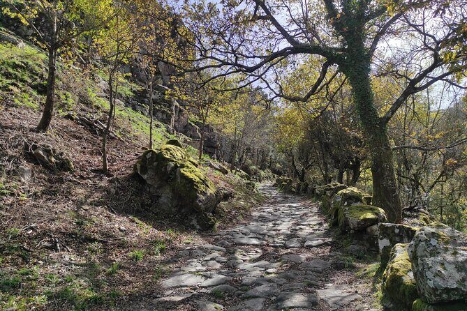 Gerês National Park with activities - Private half day/from Porto - FAQs