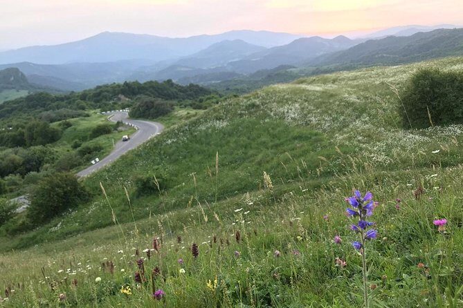 German village in Georgia (Elisabethal) & Wine tasting - Why You Might Love This Tour