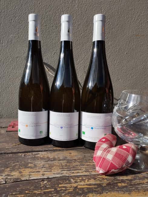 Gertwiller: Food and wine pairing workshop to prepare your Christmas meal! - What to Expect from the Experience