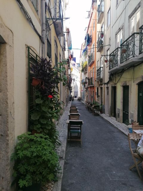 Get a TukTuk tour with a local guide! - Is It Worth the Price?