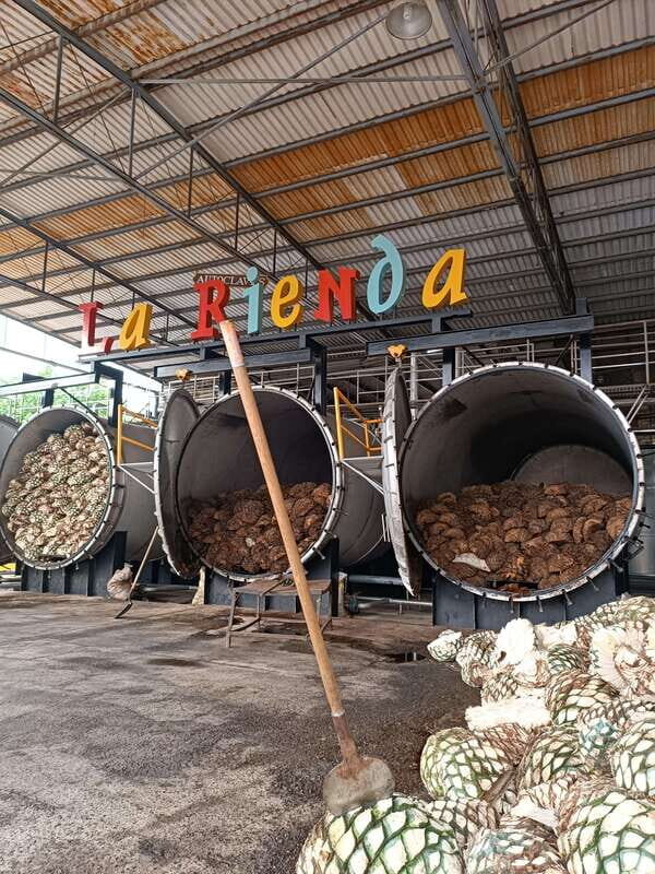 Get on Chile: know everything about tequila in "La Rienda" - Key Points