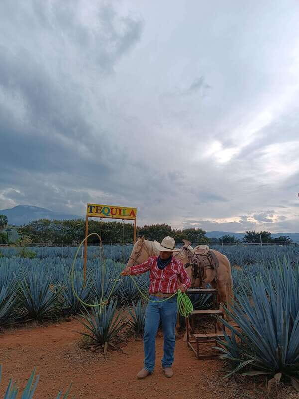Get on Chile: know everything about tequila in "La Rienda" - Authentic Experiences and What You Might Miss
