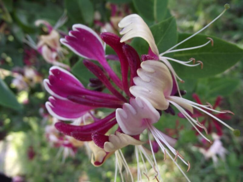 Get to know South Moravia with us. 6 hour tour. - What to Expect from the South Moravia Tour