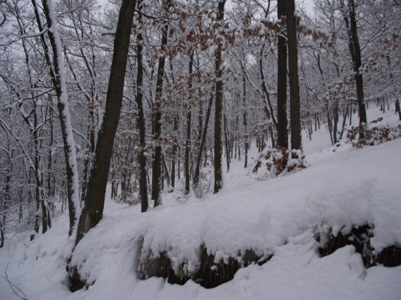 Get to know South Moravia with us. 6 hour tour. - FAQ