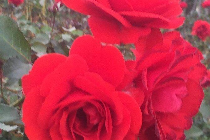 Getty Museum Private Tour - Exploring the Itinerary