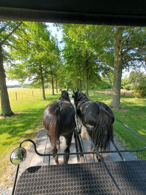 Gettysburg: Horse-Drawn Carriage Tour Countryside & Orchards - An Honest Look at the Gettysburg Carriage Tour