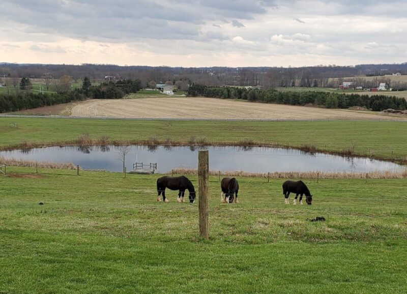 Gettysburg: Horse-Drawn Carriage Tour Countryside & Orchards - FAQ