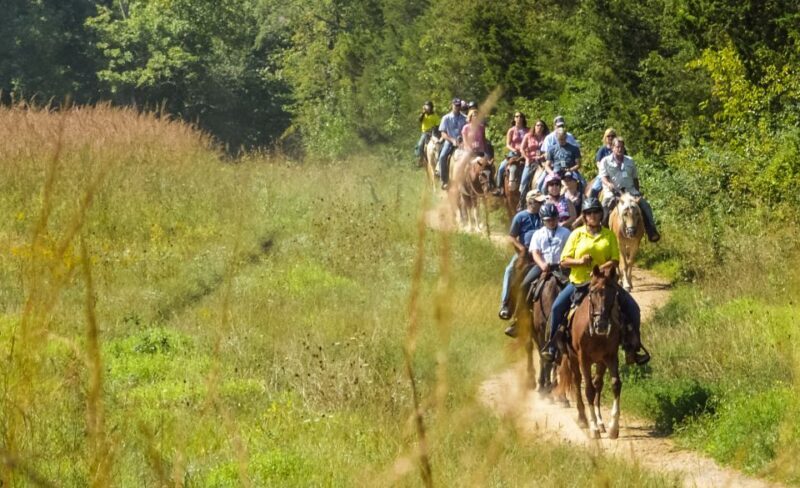Gettysburg: Licensed Guided Battlefield Horseback Tour - Who Should Consider This Tour?