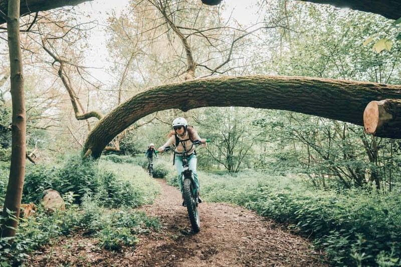 Ghent: Green Snake E-Step Tour with Local Guide - An Honest Look at the Ghent Green Snake E-Step Tour