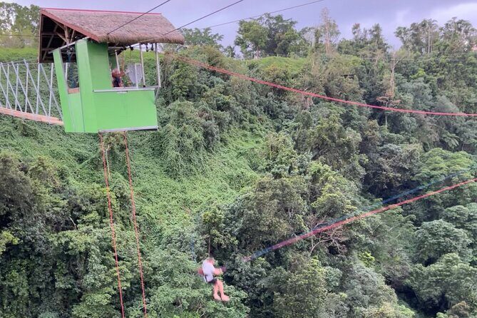 Giant Canyon Swing with Transfers - Safety and Practical Considerations