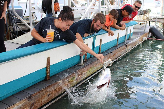 Giant Tarpon Fish Feeding Experience in Bayside Marketplace - FAQ