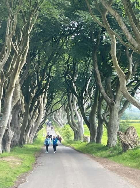 Giant's Causeway & Belfast city Private tour - Key Points