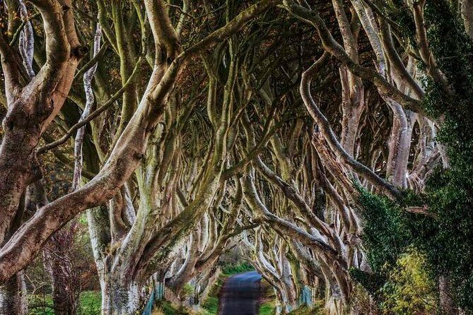 Giant's Causeway Full Day Tour from Belfast - Dunluce Castle: A Cliff-Hanging Ruin