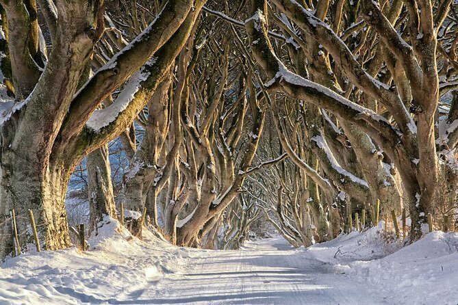 Giant's Causeway with the Titanic Exhibition and the best of Northern Ireland - Why You’ll Love This Tour