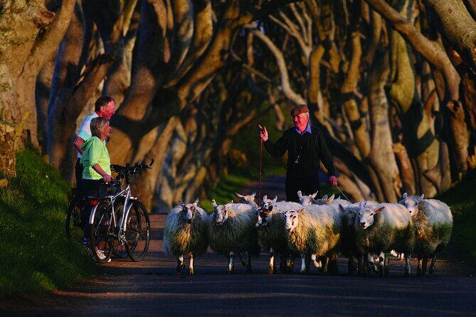 Giant's Causeway with the Titanic Exhibition and the best of Northern Ireland - Frequently Asked Questions