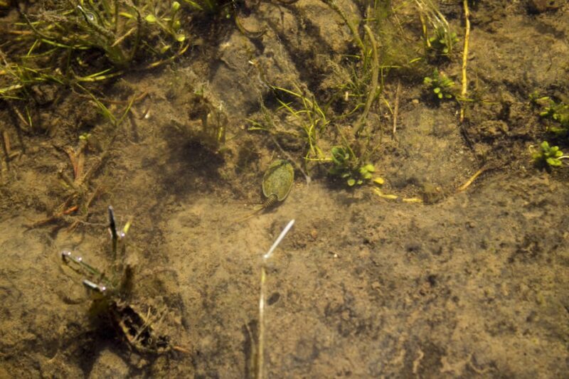 Giara hiking Tour - Final Thoughts