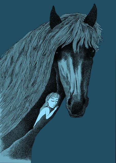 Giara Horse Museum Entry Ticket - The Experience on the Ground: What Visitors Say