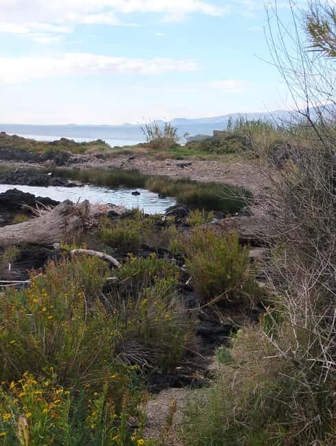 Giardini Naxos: A tour through history and legends with an expert guide - Who Will Love This Tour?