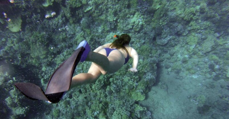 Giardini Naxos: Isola Bella Marine Park Snorkeling Cruise - A Closer Look at the Experience