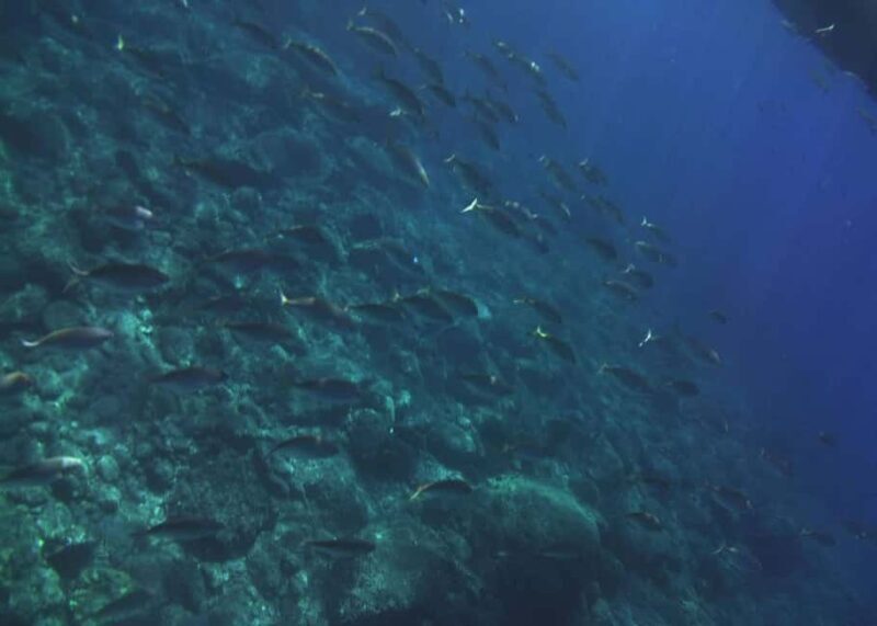 Giardini Naxos: Taormina & Isola Cruise Bella with Aperitif - Considerations and Caveats