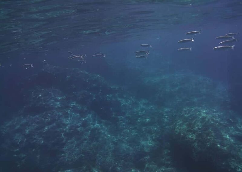 Giardini Naxos: Taormina & Isola Cruise Bella with Aperitif - Final Thoughts