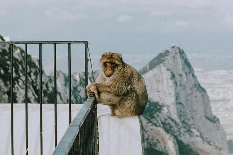 Gibraltar Day Trip from Seville - What Could Be Improved