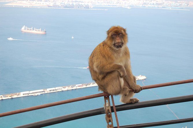 Gibraltar Day Trip from Seville - FAQ