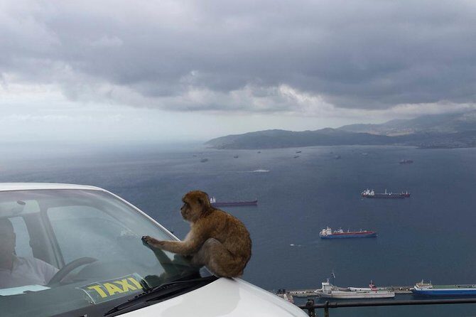 Gibraltar Day Trip from Seville + Rock Tour - Final Thoughts