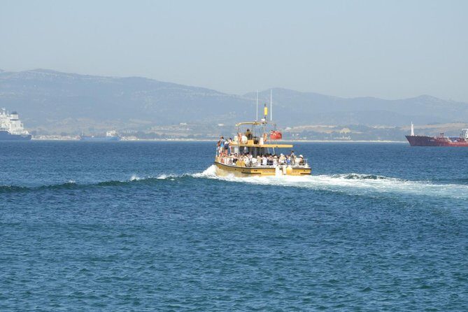 Gibraltar Dolphin Adventure - The Sum Up