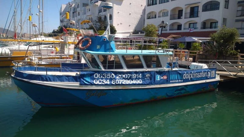 Gibraltar: Dolphin Watching Boat Tour V.I.P - What to Expect from the Dolphin Watching Tour