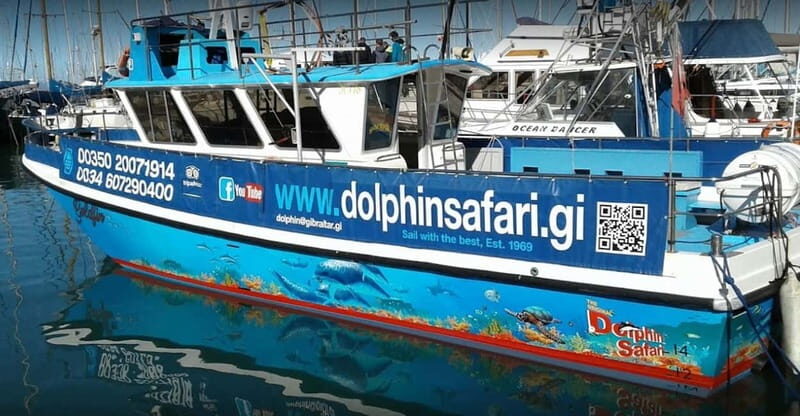 Gibraltar: Dolphin Watching Boat Tour V.I.P - Comfort and Convenience Onboard