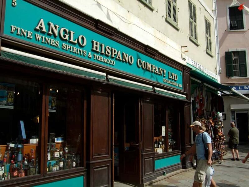 Gibraltar Express Sightseeing Full Day from Costa del Sol - Key Points