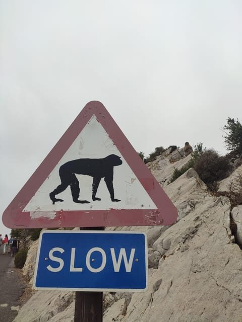 Gibraltar: premium private day trip & Rock tour - Frequently Asked Questions