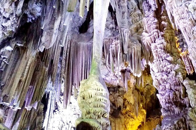 Gibraltar private trip from Marbella or Malaga - What the Reviews Tell Us