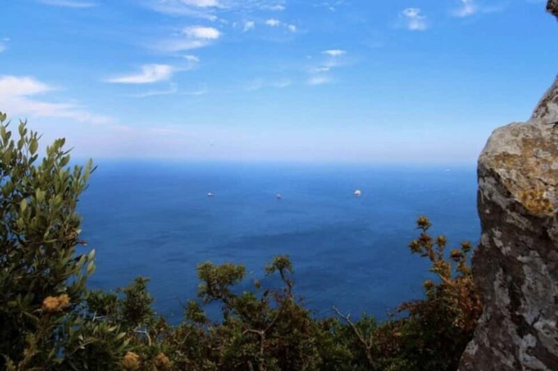 Gibraltar Shore Excursion: The Original Rock & Caves Tour - What to Expect on the Tour